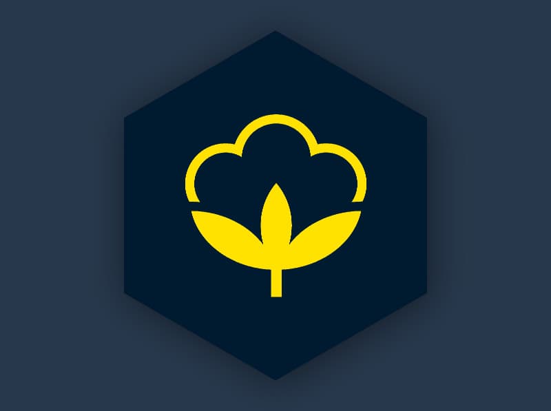 bci-jpg